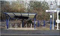 TQ2151 : Bike shelter, Betchworth Station by N Chadwick