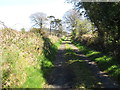 Tree-lined lane ascending towards the field barn