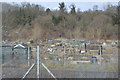 Allotments