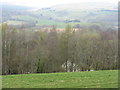 Looking northwest from the west end of the Knock of Crieff