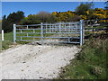 Sheep shearing pen near the Dolly