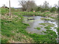 Pond and beehive at Sauchie Farm