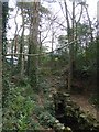 Branksome Chine stream and stonework