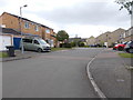 Park Lodge View - Barrowstead