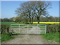 Gated farm track near Hill Top Farm