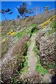 SC1969 : Steep Path Near Port Erin by Glyn Baker
