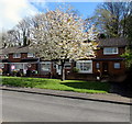 April blossom, Beaumaris Way, Llanyravon, Cwmbran