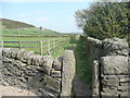 Stile on Halifax FP198 at Cold Edge Road, Warley