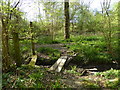 Plank bridge over stream to bridleway