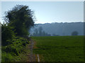 Path north of Walderton