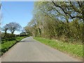  : Rural Monmouthshire country road by Philip Halling