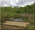 Small pond in Franklin Park, Braunstone