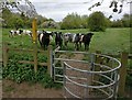 Footpath on the edge of Countesthorpe