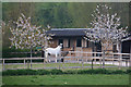 Sedgemoor : Dunnett Farm