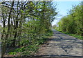 Carr Lane towards East Stockwith