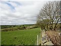 View west from Hangingstone Lane