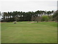 Letham Grange Glens Course, 7th hole, Isla