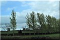 Tree-lined drive leading from the A25 near Barnmeen