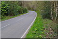 Tilford Road near Bourne Wood