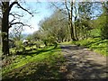 Road approaching Craig-y-porth Farm