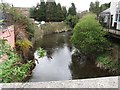 The River Lagan below the Downshire Bridge, Dromore