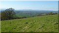 View of the Black Mountains from Craig-y-dorth