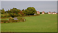 Farm land near Dadlington in Leicestershire