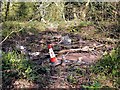 Small, rubbish filled pond in Rectory Wood