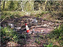TQ7809 : Small, rubbish filled pond in Rectory Wood by Patrick Roper