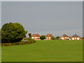 Pasture near Dadlington in Leicestershire