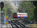 Lines southeast of Oakwood tube station