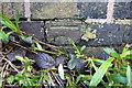 Benchmark on railway bridge wall at east end of William Street