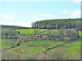 Across the valley to Duks Ley