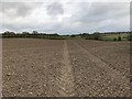 SJ7949 : Footpath across ploughed field near Audley by Jonathan Hutchins