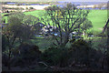 Little Crossthwaite from Dodds wood