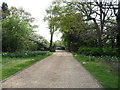 Driveway, Totteridge Common