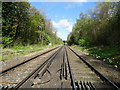 Railway Line South of Wadhurst