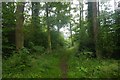 NU0935 : Path, Square Wood by Richard Webb