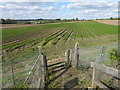 The other side of a railway foot crossing near Swanley