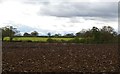 SJ6642 : Ploughed field south of Bagley Lane by Christopher Hilton