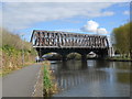 TL1998 : Railway bridge over the River Nene, Peterborough by Paul Bryan