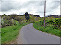 Lane east from Blackmore End