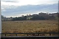 Doxey Marshes