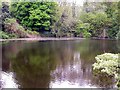 Upper Shornden Reservoir, Hastings