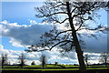 Fields beside the Nith