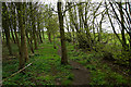 Footpath near High Mickley