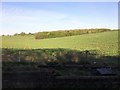 View from a Peterborough-London train - Foxley Grove