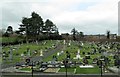 The western section of Seapatrick parish cemetery, Banbridge