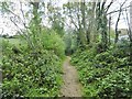 Lytchett Matravers, bridleway