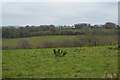 South Hams Countryside